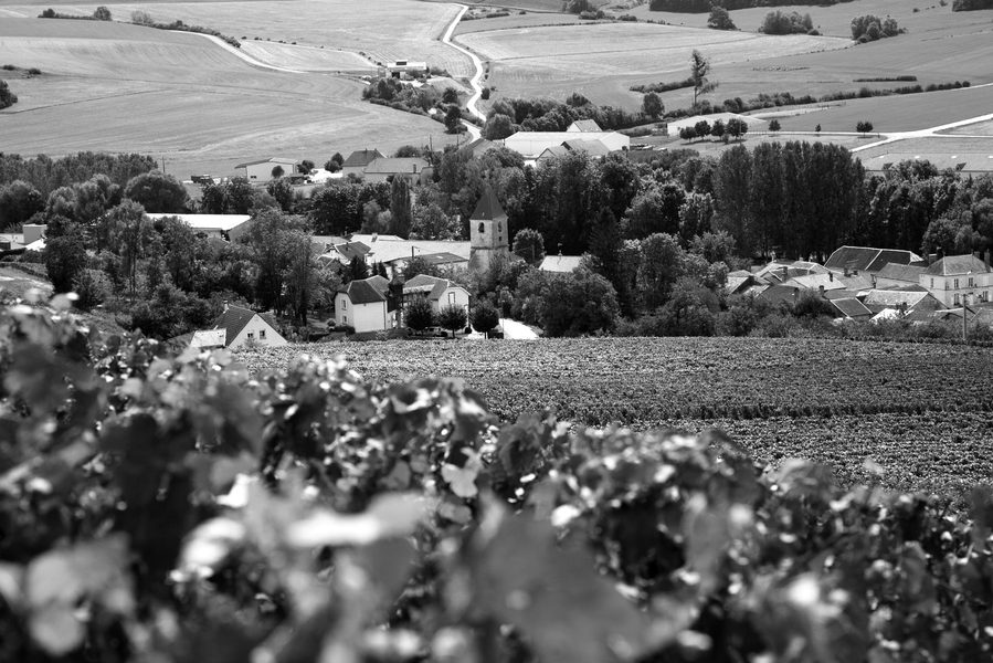 Les parcelles